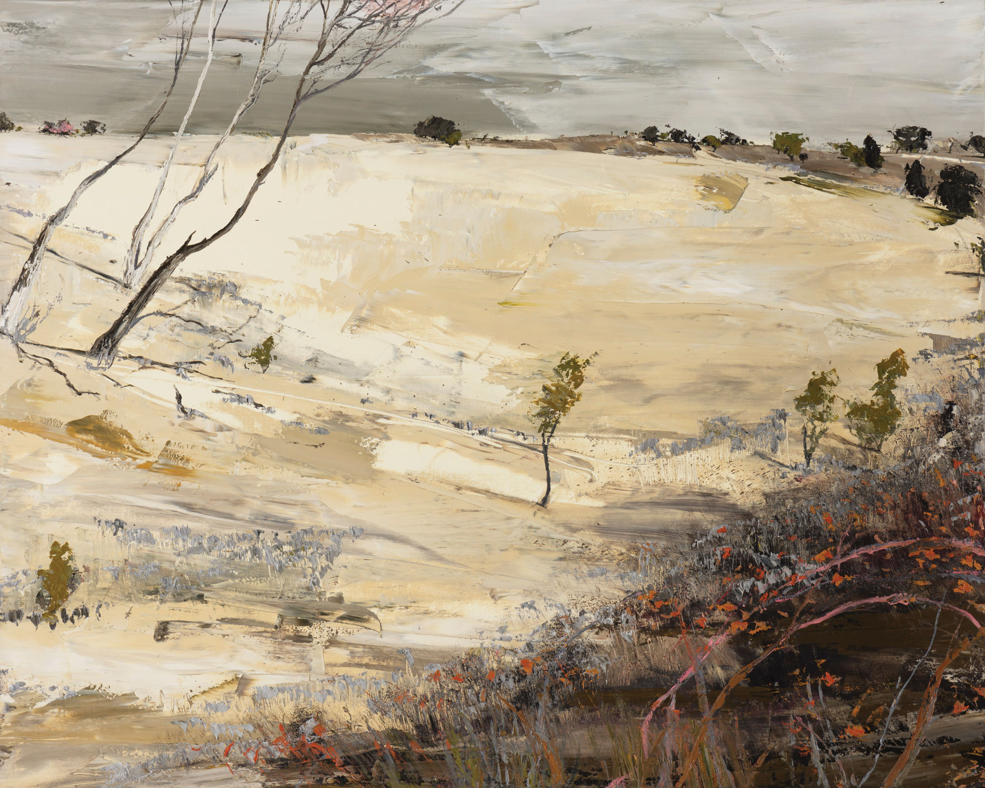 Amanda Penrose Hart