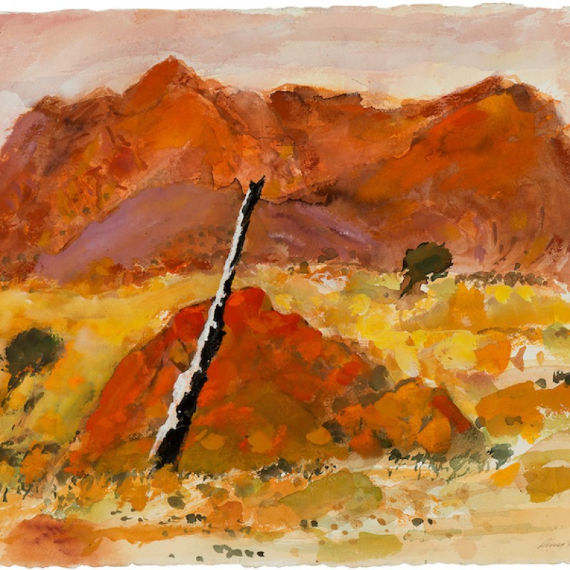 Sentinel, Alice Springs