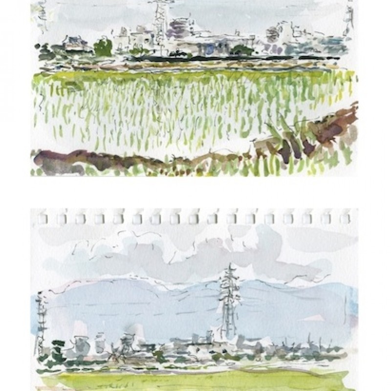 Rice paddies and pylons, Japan [diptych]
