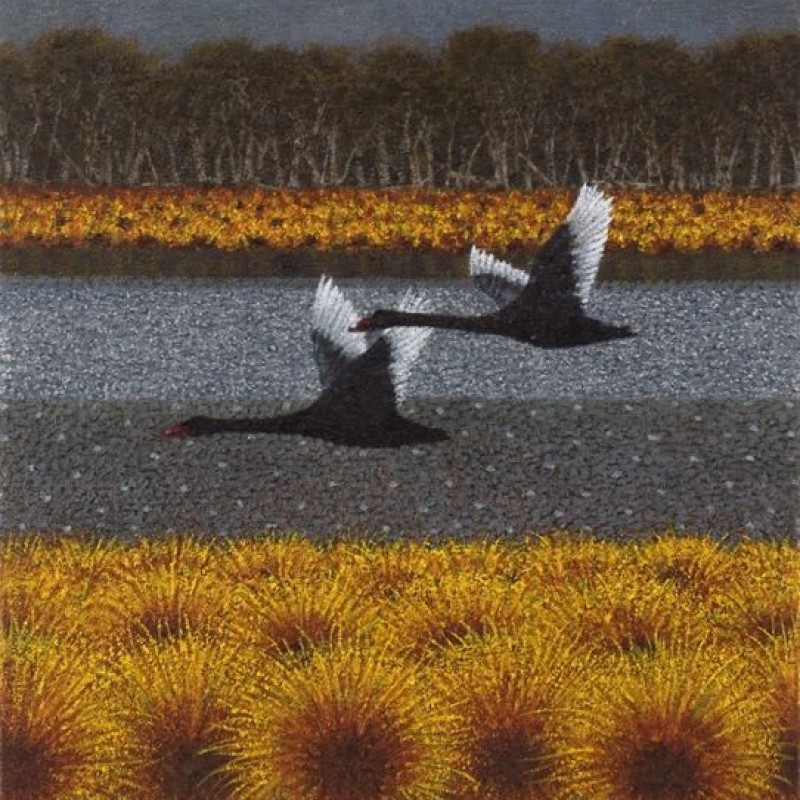 Black Swans in Flight