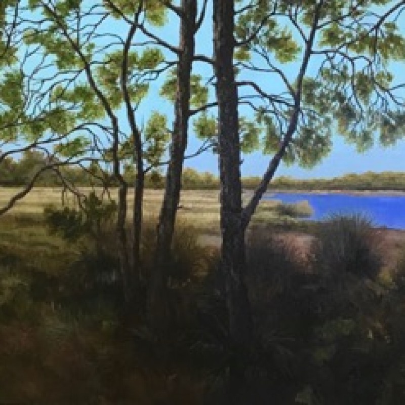 View Looking out from Shadows, Glenbrook Lagoon