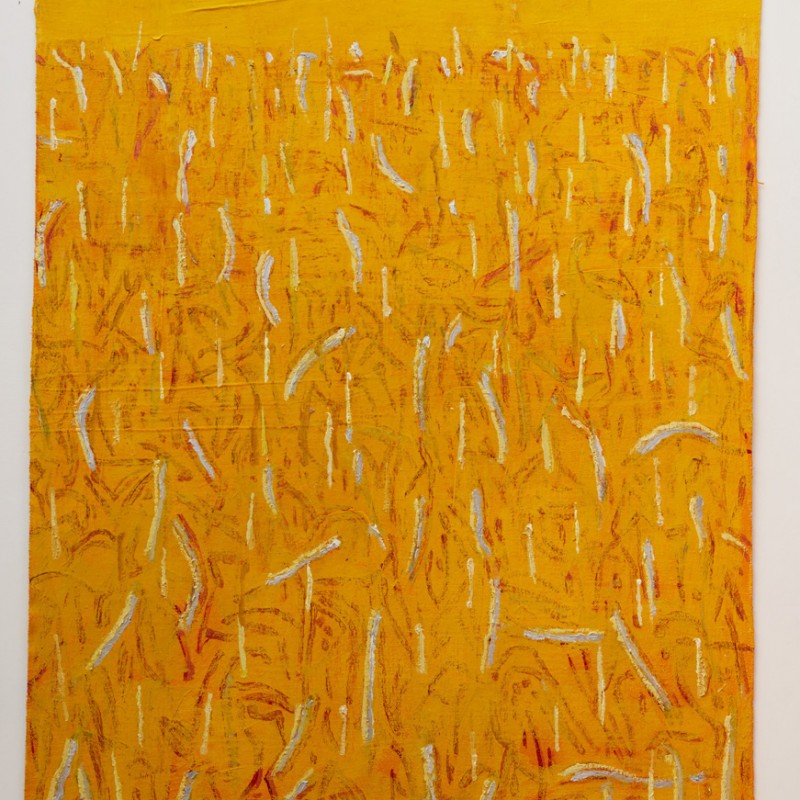 Outback in yellow (vertical)
