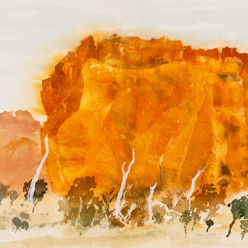 Orange walk with dead trees Alice – Ross River series