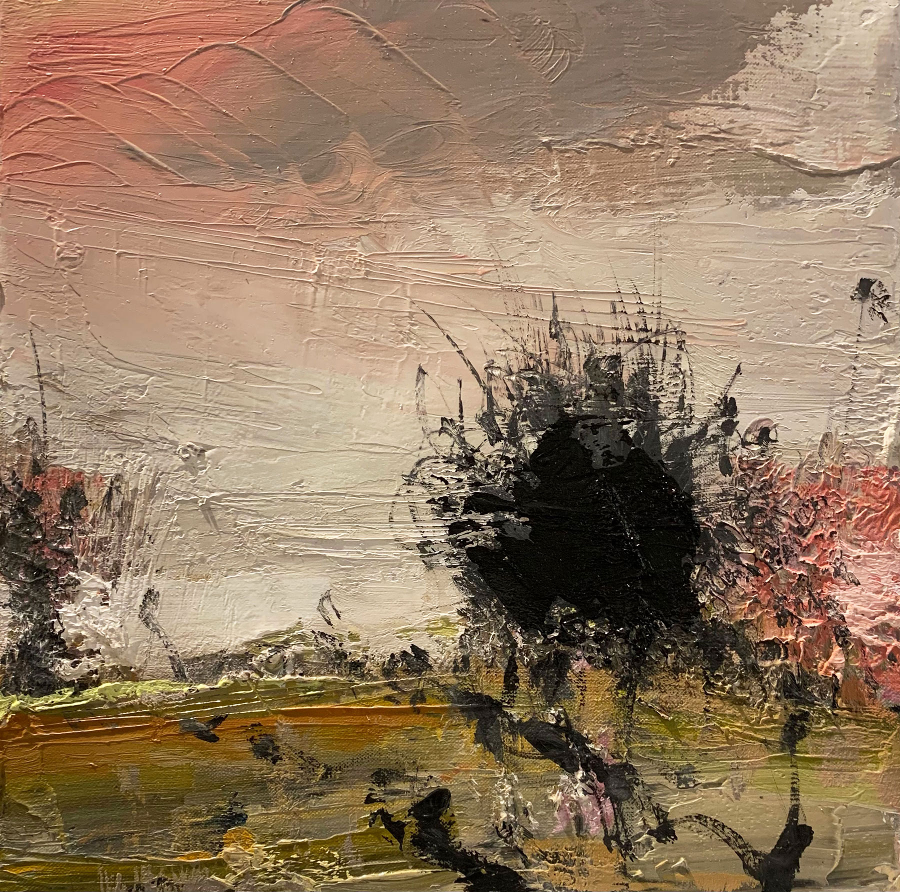 Amanda Penrose Hart