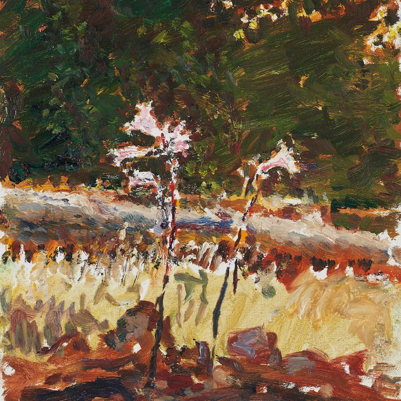 Easter Lilies, Mount Lofty IV