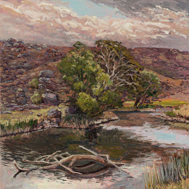 Second Pool in Moores, Lone Gum in the Basalt Plains, Looking West Towards Wombat Village, Summer