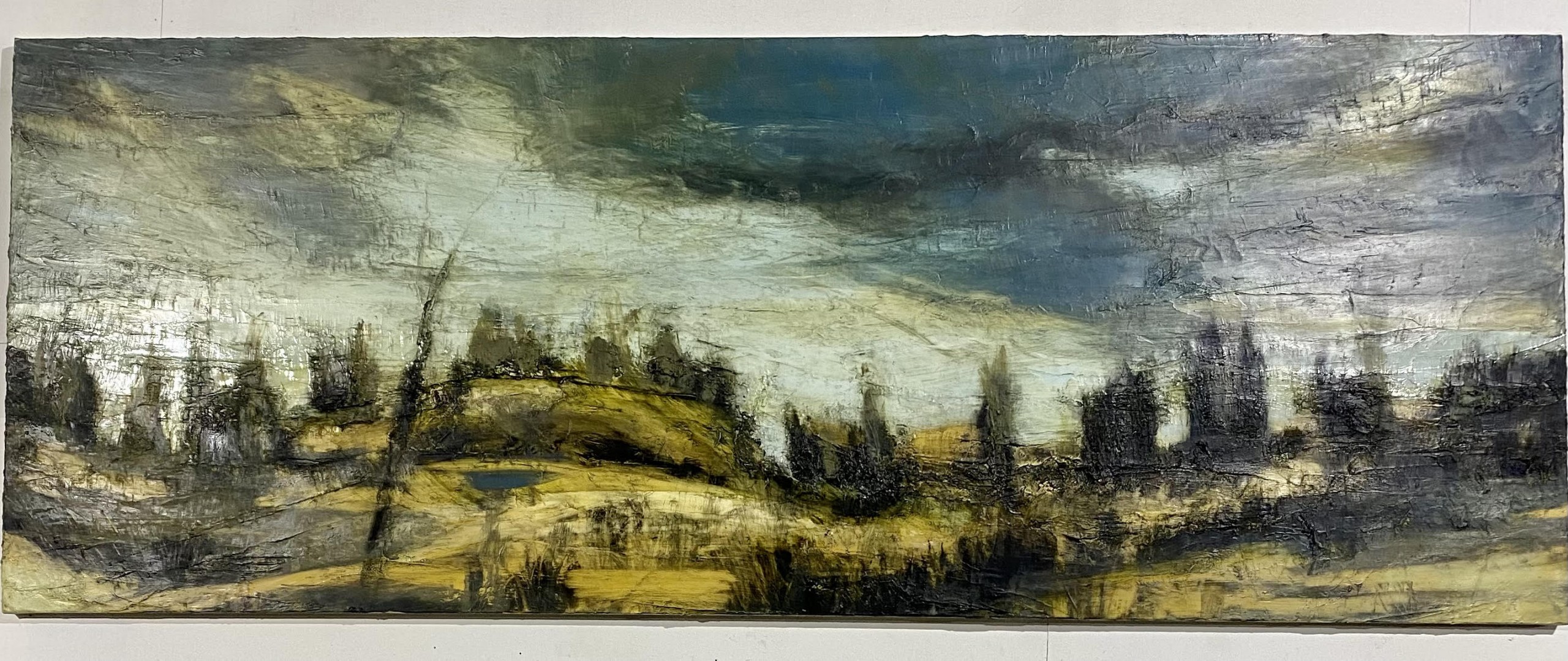 Calleen Prize 2022, Cowra Regional Art Gallery King Street Gallery on