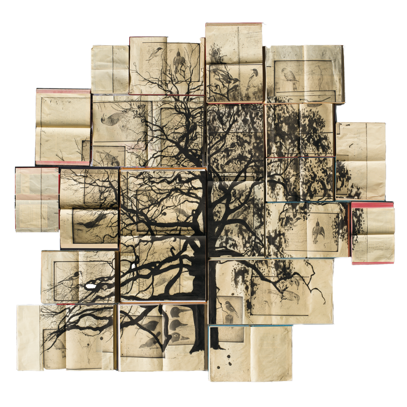 tree of life, journey of lost souls in twenty volumes no.2