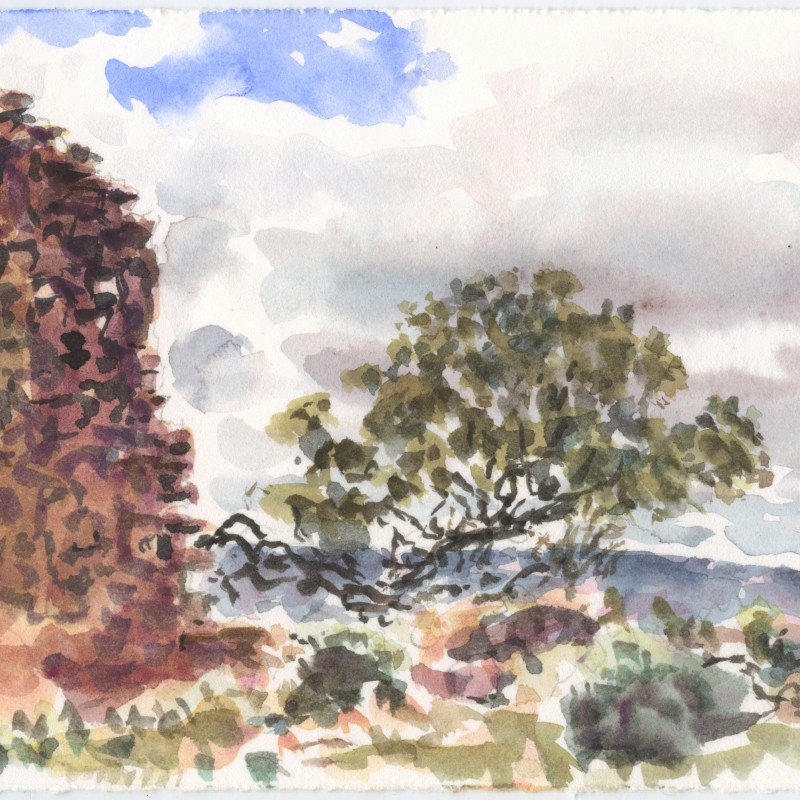 Tree and Ruins, Wonoka