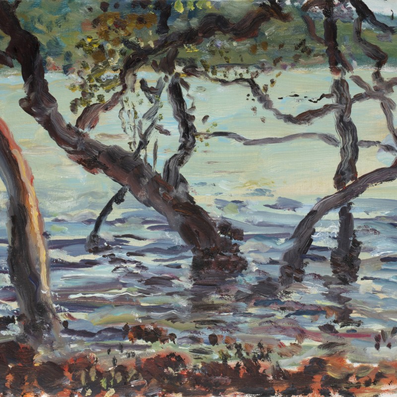 High Tide Mangroves, Mooney Mooney