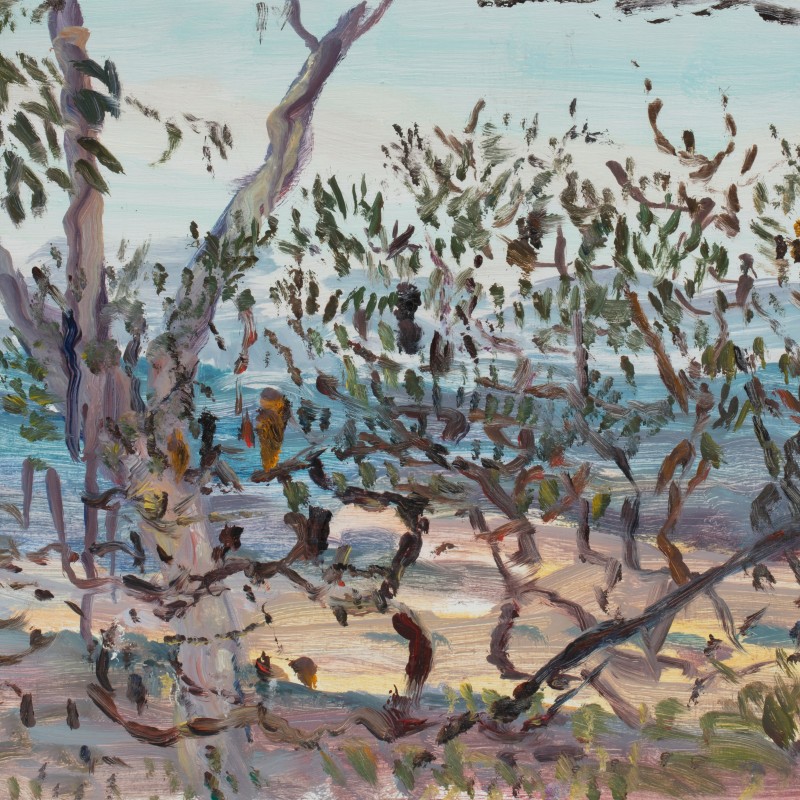 Screen of Trees, Mount Victoria