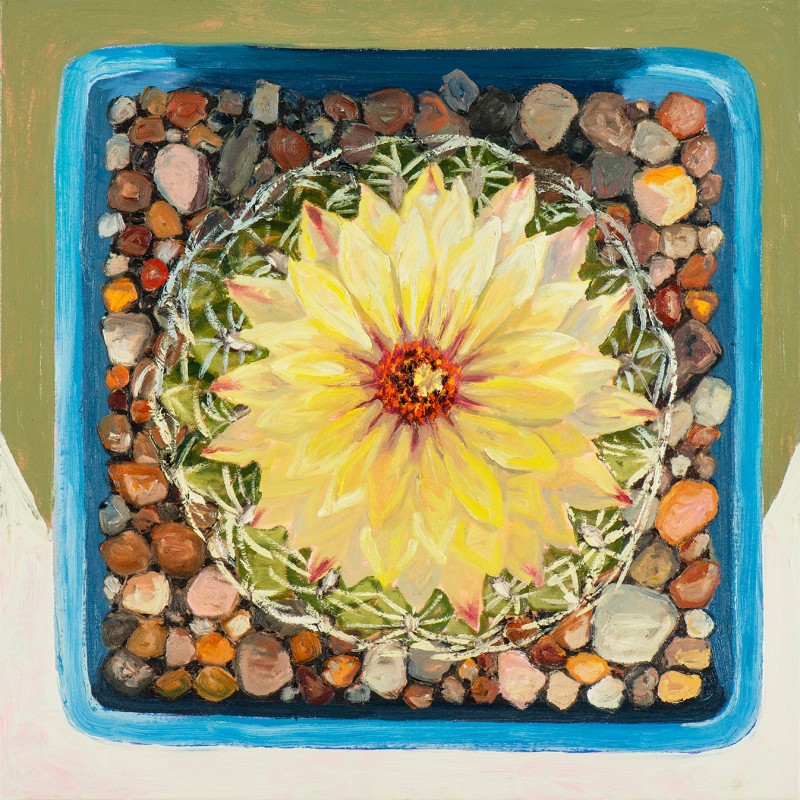 Untitled [Cactus Yellow Flower]