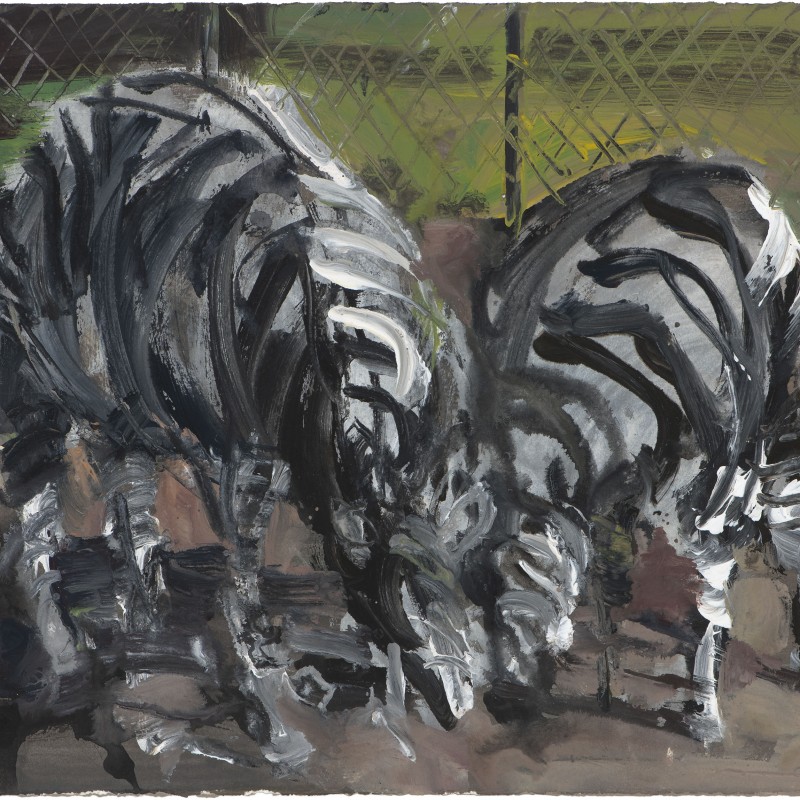 2 Zebras 29/5/21