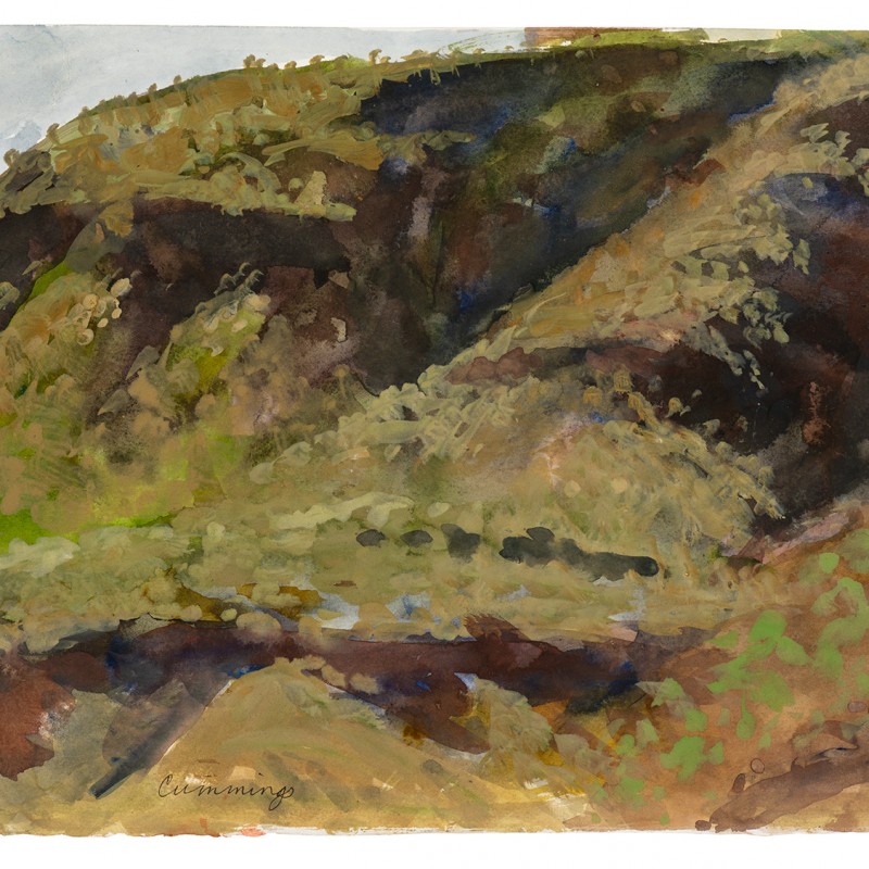 Spinifex on Hillside – Wittenoom Gorge, Pilbara