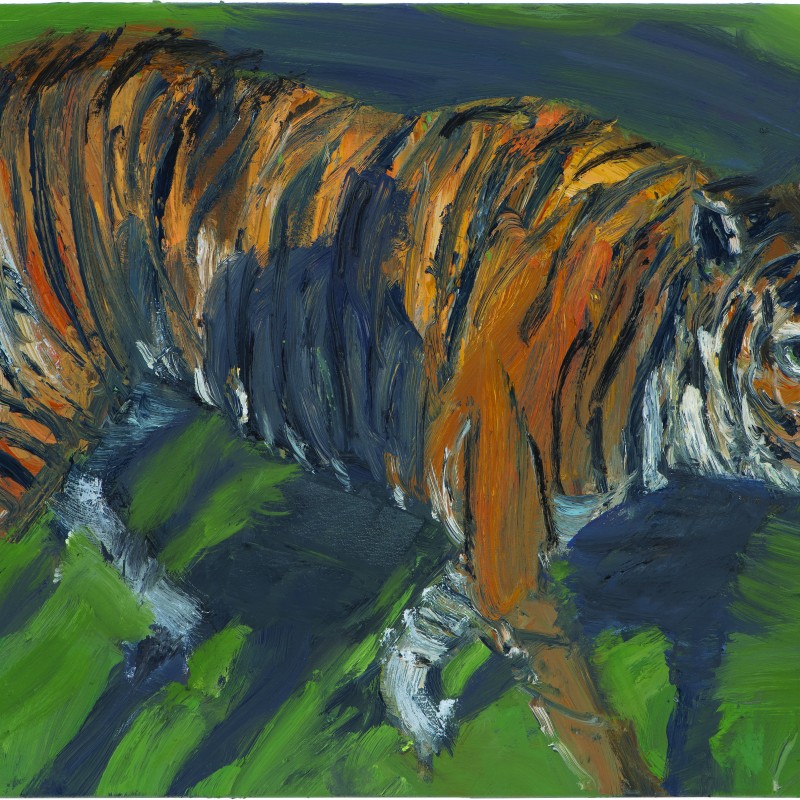 Tiger with Shadow