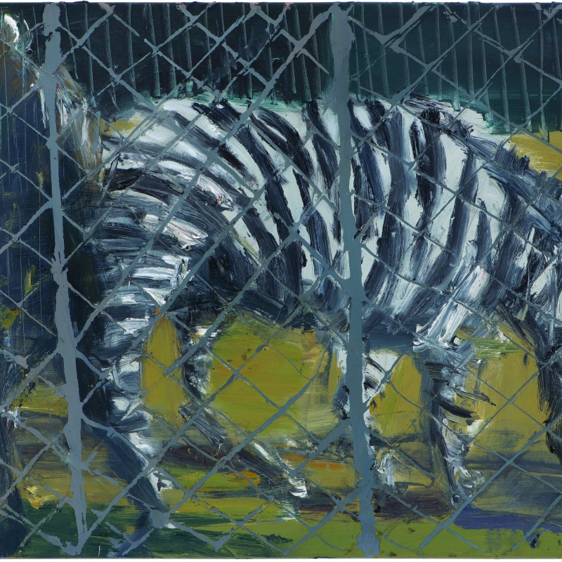 Zebra and Figure in Cage
