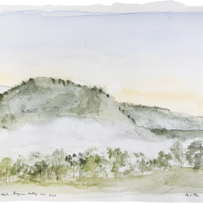 Morning Mist, Kangaroo Valley, June 2023