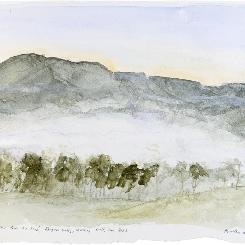 The View from Joe’s Place, Kangaroo Valley, Morning Mist, June 2023