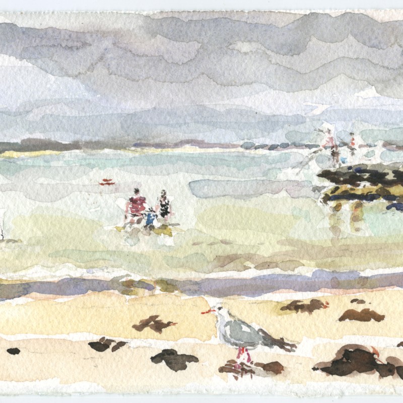 Bathers and Seagull, Abrahams Bosom Beach 10/2/24