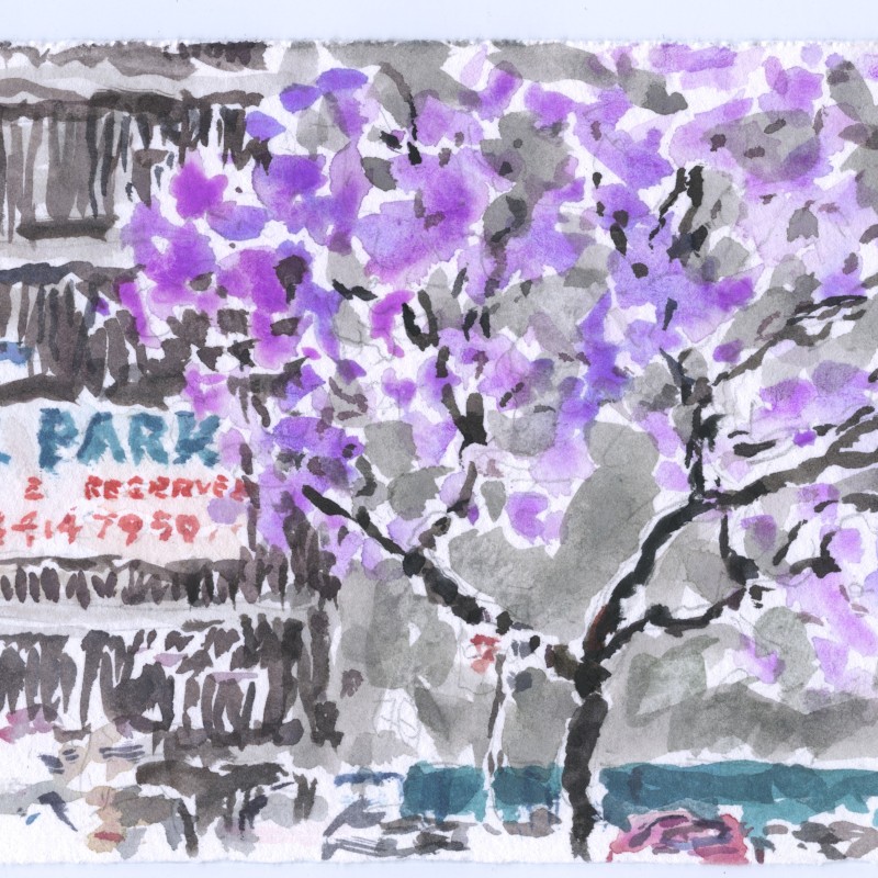 Jacaranda and Carpark, Light Square Carpark I