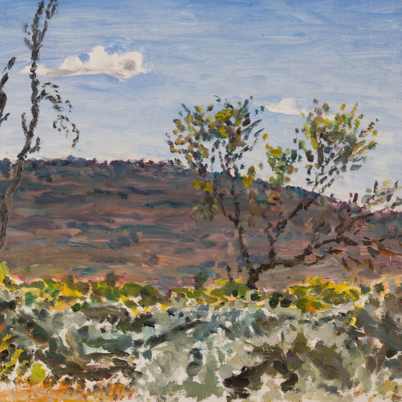 Afternoon Clouds, Wonoka