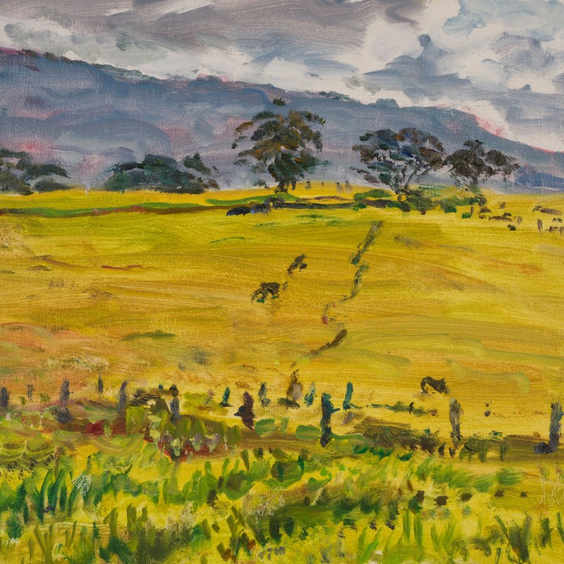 Afternoon Cow Paddock, Milton II