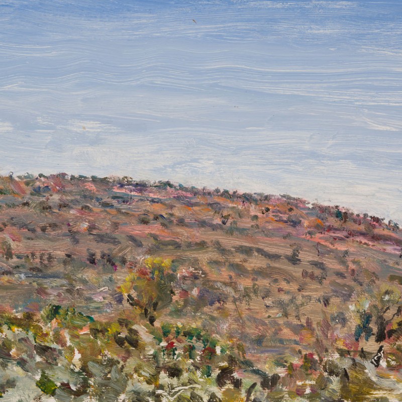 Afternoon Ridge, Wonoka