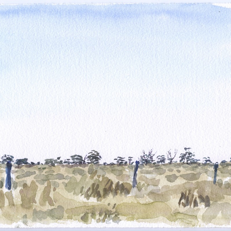Beside the Mallee Highway, near Murrayville