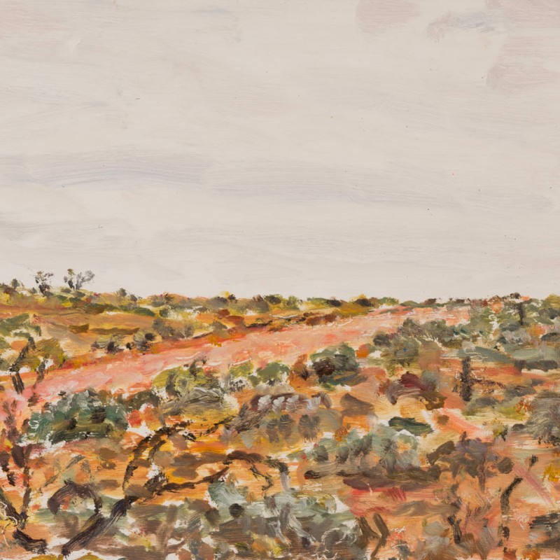 Gravel Road and Saltbush, Yappala