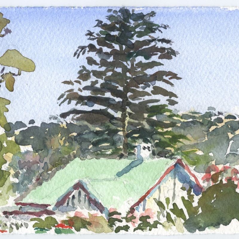 Green-roofed House in Warriga Street Katoomba