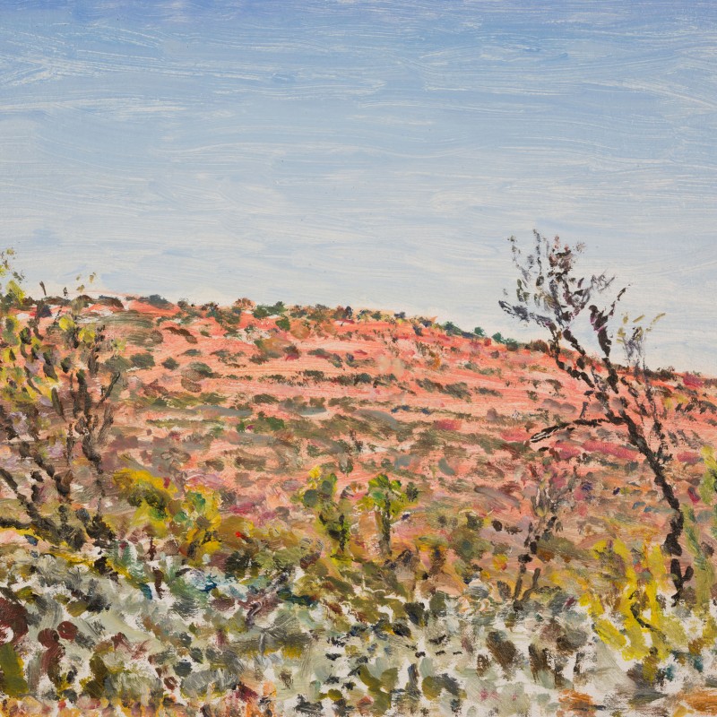 Looking West from Wonoka Creek II