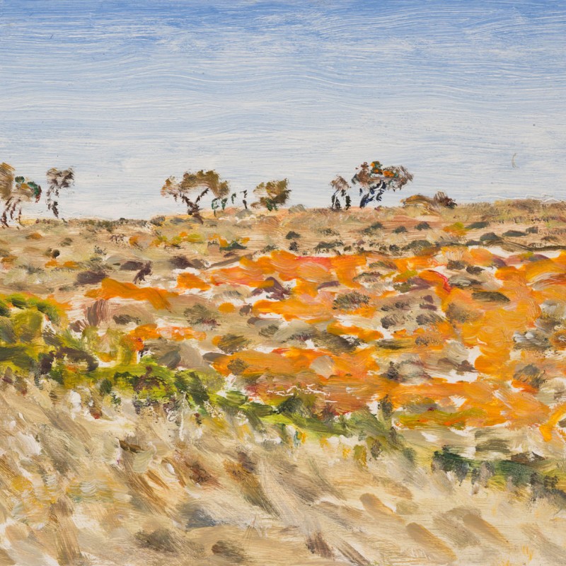 Treeline, Dutchmans Stern Road