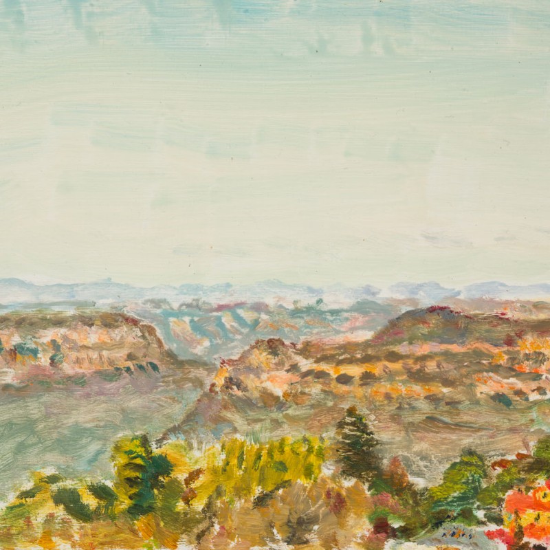 Valley View from Gang Gang Street, Katoomba I