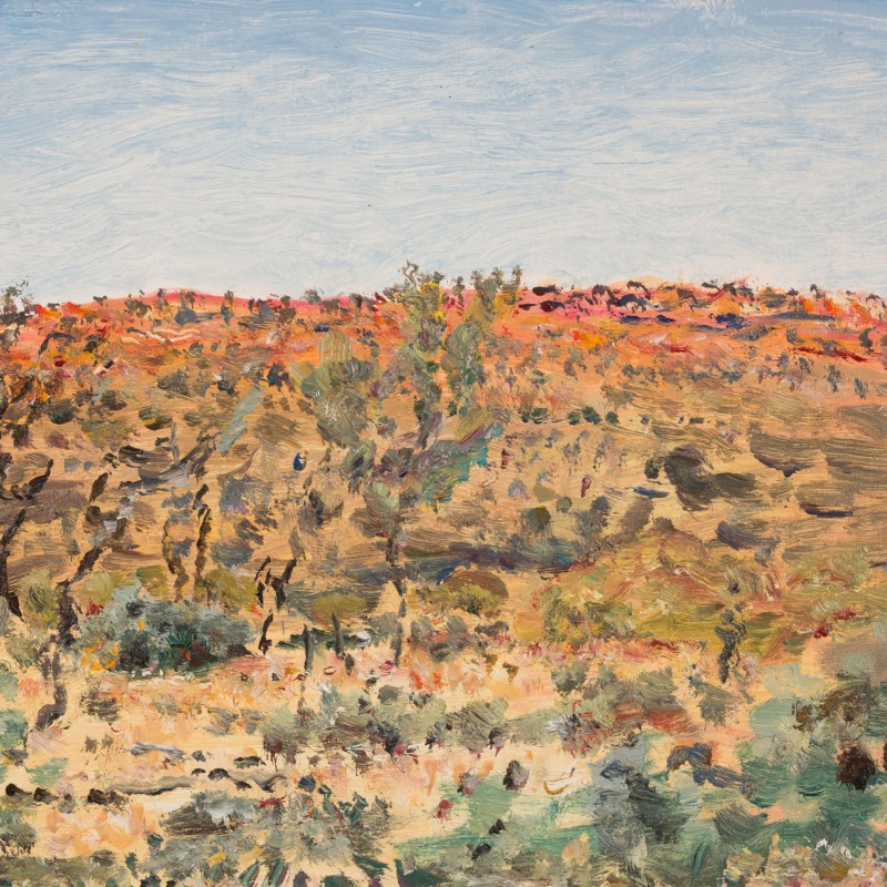 Morning Bush, Wonoka
