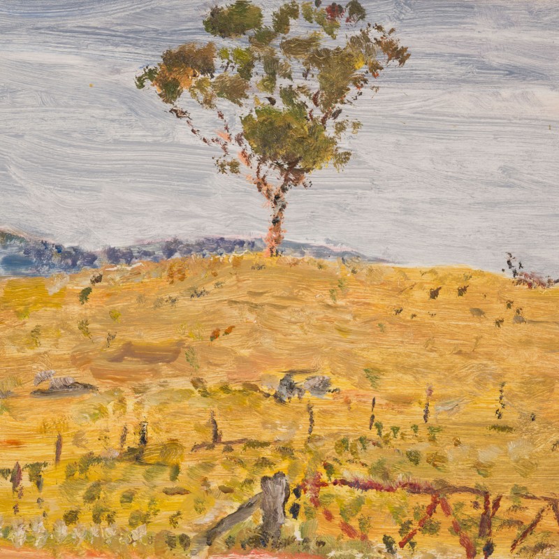 Tree on the Ophir Road, Orange