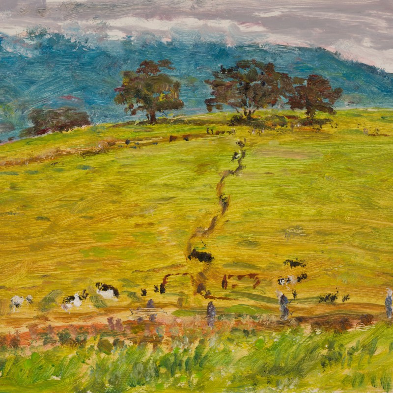 Afternoon Cow Paddock, Milton I