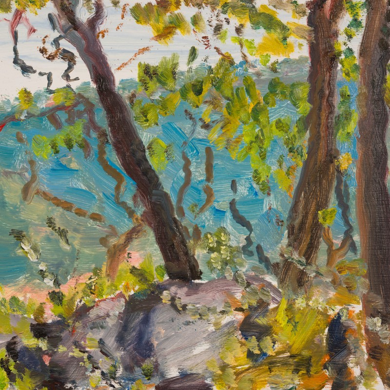 Afternoon Tree Shadows, Cowan
