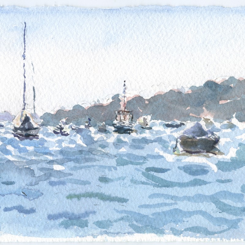 Moored Boats, Rose Bay
