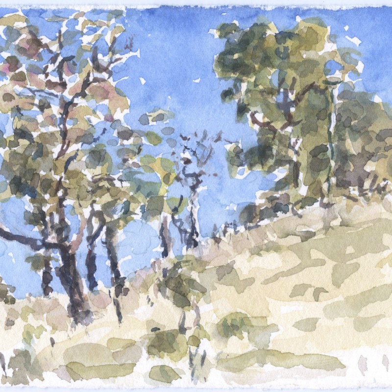 On the Six Foot Track, Megalong Valley