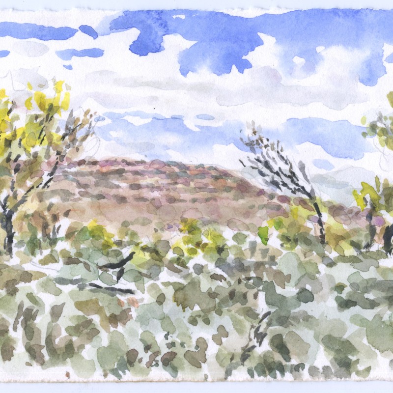 Passing Clouds, Wonoka