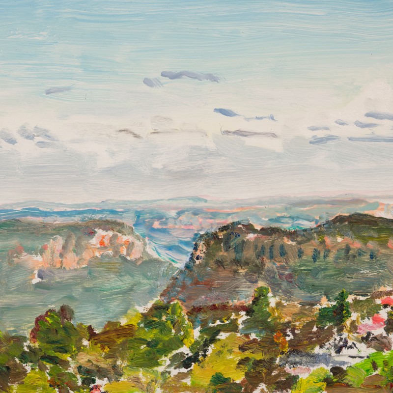 Valley View from Gang Gang Street, Katoomba II