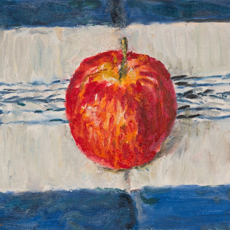Gala Apple on a Mexican Cloth
