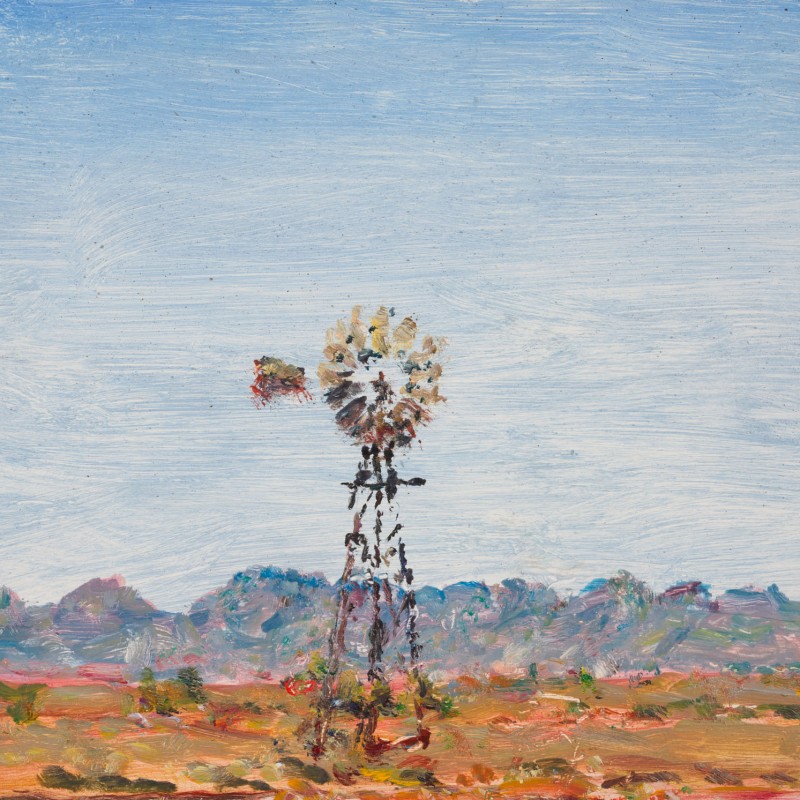Windmill, Merna Mora Station