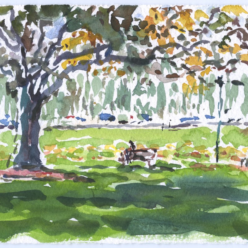 Rushcutters Bay Park in Autumn