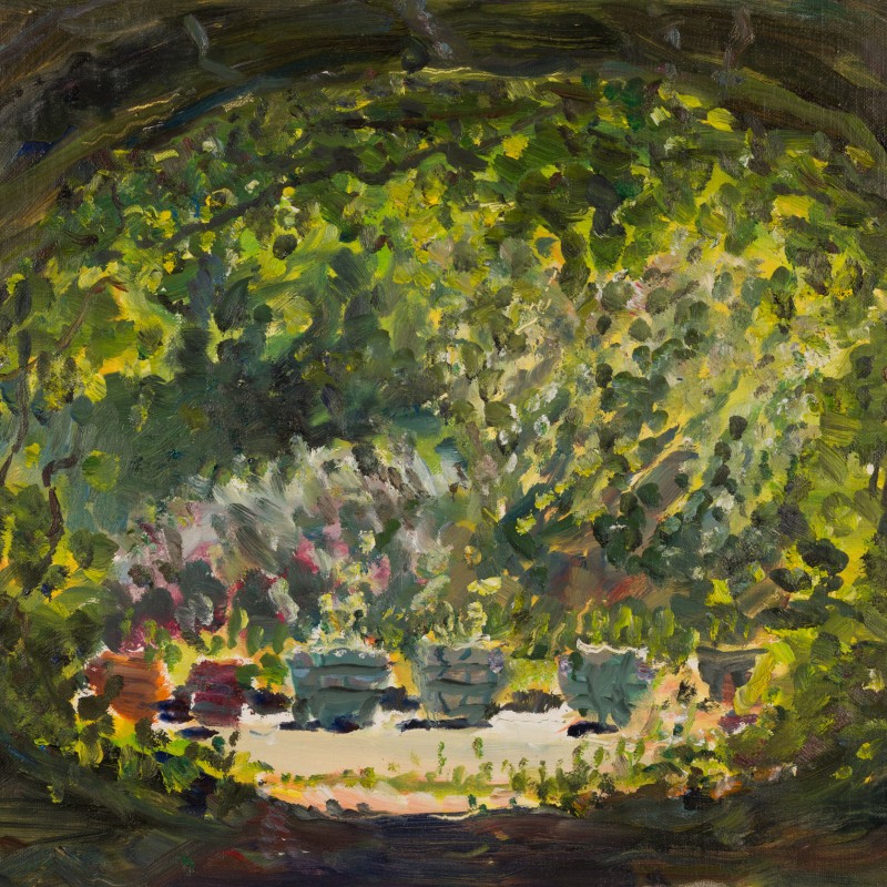 Wisteria Tunnel, Bacchus Marsh