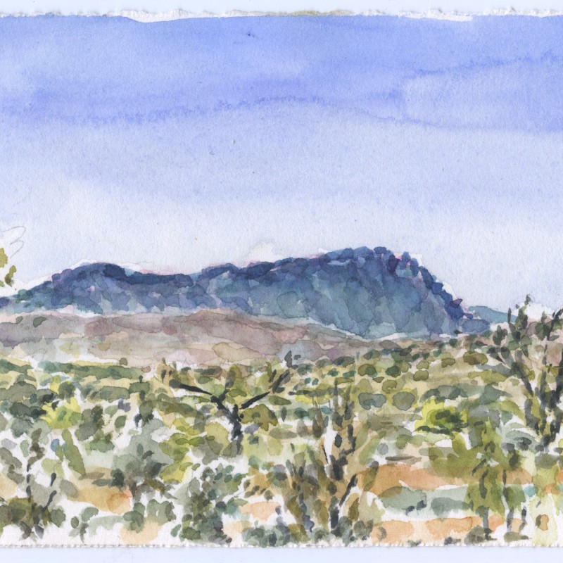 Wonoka Hill, Hawker, from Dairy Flat Road