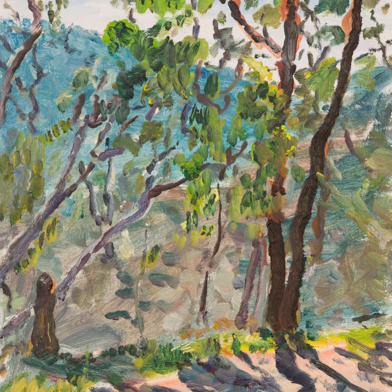 Afternoon, Cowan