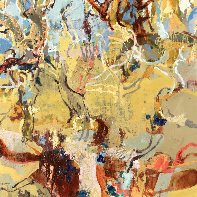 Dry Forest, Wilcannia