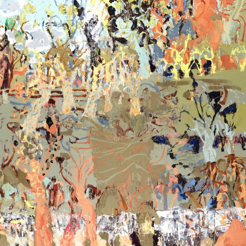 Silt And Sediment, Wilcannia