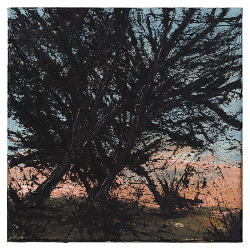 Two Pines